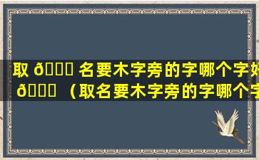 取 🐟 名要木字旁的字哪个字好 🐕 （取名要木字旁的字哪个字好一点）